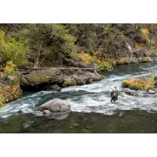 McCloud River Fly Selection - Your Premium Fishing Gear Store Rods Lines Baits Accessories* Fly Fishing