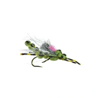 Morning wood Stone Skwala - Your Premium Fishing Gear Store Rods Lines Baits Accessories^ Best