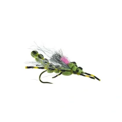 Morning wood Stone Skwala - Your Premium Fishing Gear Store Rods Lines Baits Accessories^ Best