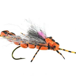 Morningwood Special - Your Premium Fishing Gear Store Rods Lines Baits Accessories* Fly Fishing