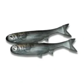No Live Bait Needed K-Tails - Your Premium Fishing Gear Store Rods Lines Baits Accessories* Bait