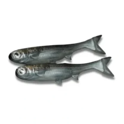 No Live Bait Needed K-Tails - Your Premium Fishing Gear Store Rods Lines Baits Accessories* Bait