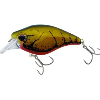 Nomad Atlas Square Bill Crank Floating - Your Premium Fishing Gear Store Rods Lines Baits Accessories* Bait