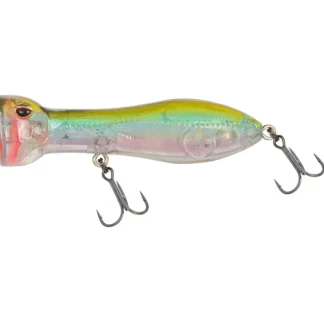 Nomad Chug Norris Popper 72 Autotune Freshwater - Your Premium Fishing Gear Store Rods Lines Baits Accessories* Bait