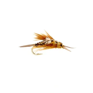 OE Stonefly Nymph Golden - Your Premium Fishing Gear Store Rods Lines Baits Accessories^ Shop