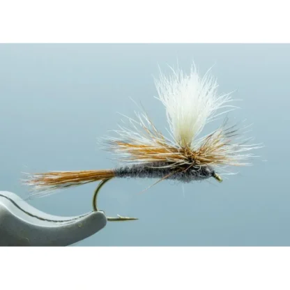 Parachute Adams (Calf) - Your Premium Fishing Gear Store Rods Lines Baits Accessories* Fly Fishing