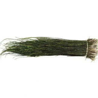 PeaCock Herl-Strung - Your Premium Fishing Gear Store Rods Lines Baits Accessories* Fly Fishing