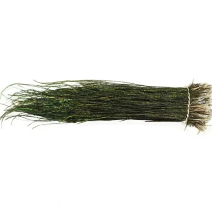 PeaCock Herl-Strung - Your Premium Fishing Gear Store Rods Lines Baits Accessories* Fly Fishing