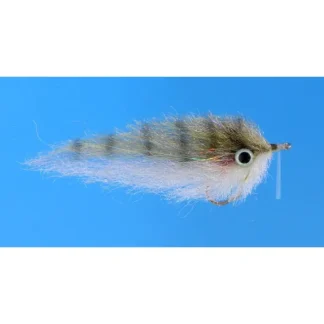 Pinfish - Your Premium Fishing Gear Store Rods Lines Baits Accessories* Bait