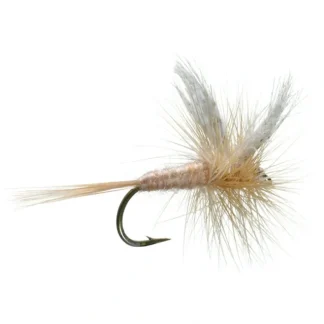 Pink Cahill - Your Premium Fishing Gear Store Rods Lines Baits Accessories* Fly Fishing