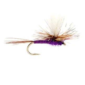 Purple Haze - Your Premium Fishing Gear Store Rods Lines Baits Accessories* Fly Fishing