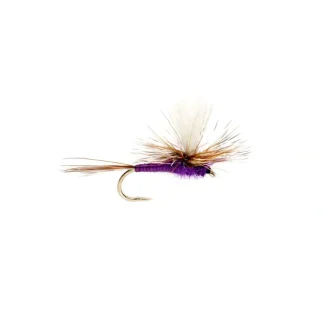 Purple Parachute Adams - Your Premium Fishing Gear Store Rods Lines Baits Accessories* Fly Fishing