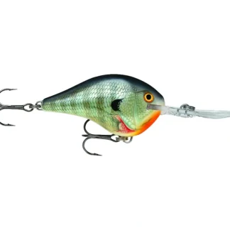 Rapala Dives-To 06 Crankbait, Floating (2", 3/8oz, Assorted Colors) - Your Premium Fishing Gear Store Rods Lines Baits Accessories* Bait