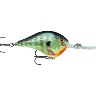 Rapala Dives-To 10 Crankbait, Floating (2-1/4", 3/5oz, Assorted Colors) - Your Premium Fishing Gear Store Rods Lines Baits Accessories* Bait