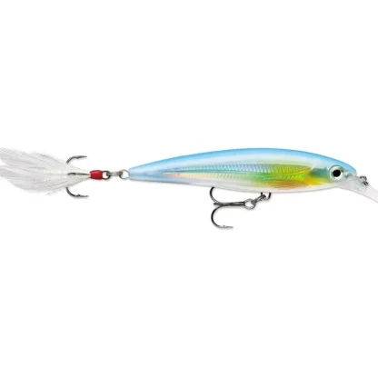 Rapala X-Rap Jerkbait, Suspending, 3 1/8", 1/4oz, Slick - Your Premium Fishing Gear Store Rods Lines Baits Accessories* Bait