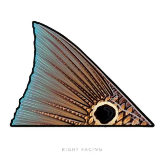 Redfish Tail Right Sticker - Your Premium Fishing Gear Store Rods Lines Baits Accessories* Fishing Line