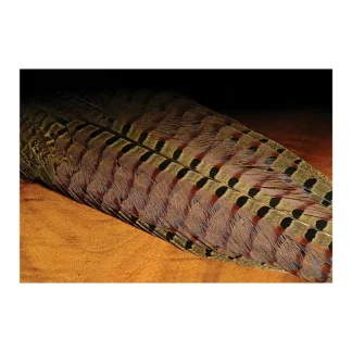Ringneck Pheasant Complete Tail Clump - Your Premium Fishing Gear Store Rods Lines Baits Accessories* Fly Fishing