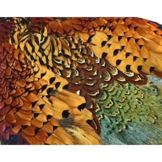 RingNeck Pheasant Skin - Your Premium Fishing Gear Store Rods Lines Baits Accessories* Fly Fishing