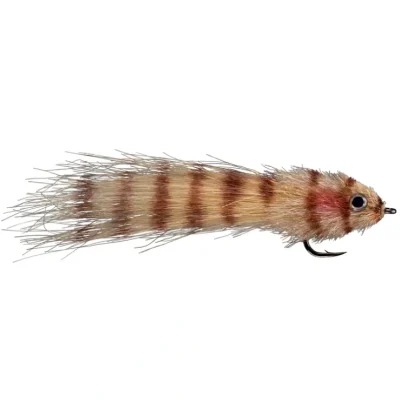 Rio's King Kinky Backcountry - Your Premium Fishing Gear Store Rods Lines Baits Accessories* Bait
