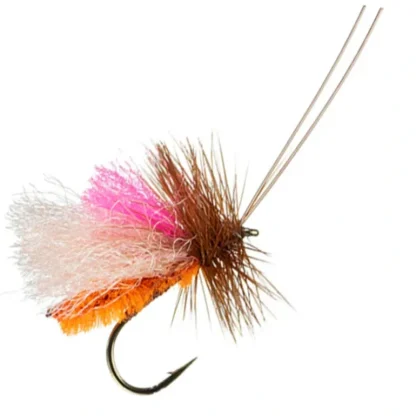 Slick Water Caddis - Your Premium Fishing Gear Store Rods Lines Baits Accessories* Fly Fishing