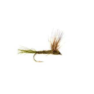 Sparkle Dun Olive - Your Premium Fishing Gear Store Rods Lines Baits Accessories* Fly Fishing