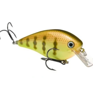 Strike King KVD - Your Premium Fishing Gear Store Rods Lines Baits Accessories* Bait
