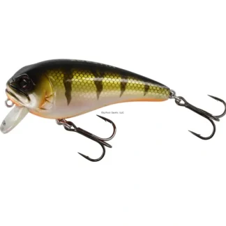 Westin FatBite Floating Crankbait, 2 1/8", 5/16 oz, Bling Perch - Your Premium Fishing Gear Store Rods Lines Baits Accessories^ Fashion